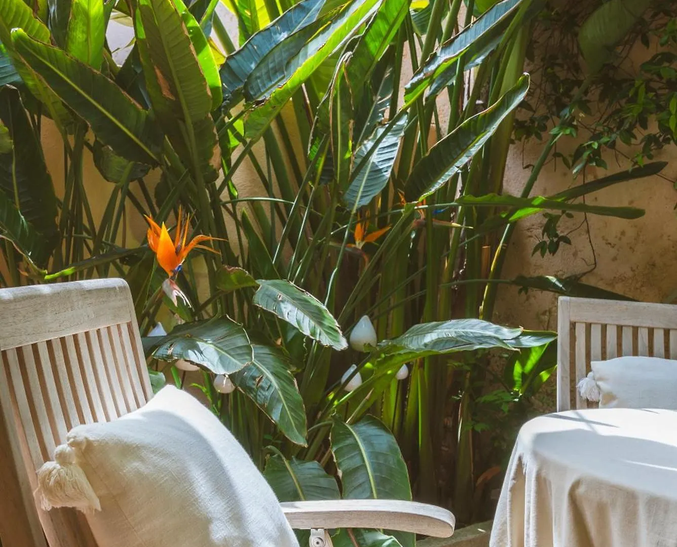 Maison Magdeleine Saint-Tropez Villa