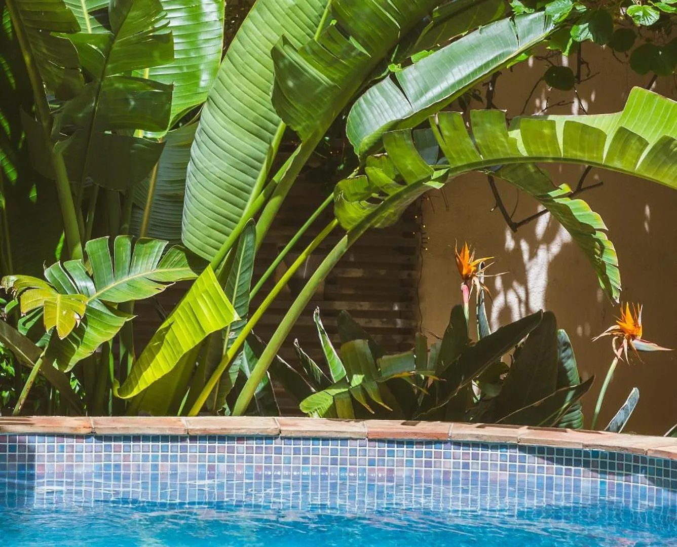 Villa Maison Magdeleine Saint-Tropez France